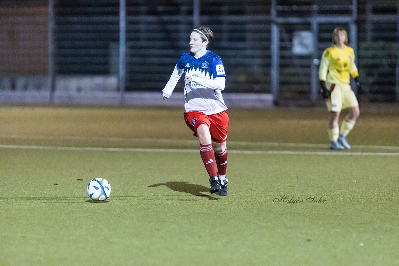 Bild 393 - F SC Alstertal-Langenhorn - Hamburger SV 3 : Ergebnis: 2:2